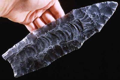 A Clovis point. Big and sharp, the new weapons allowed the invaders to kill even the largest animals.