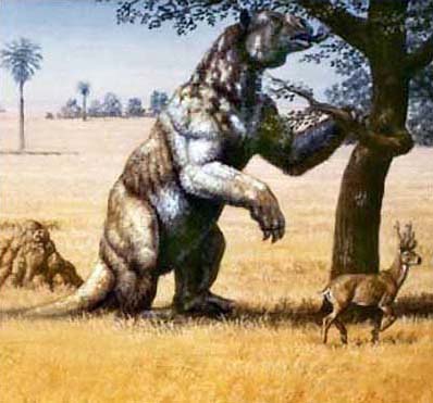 A megatherium, or giant ground sloth, on the plains of South America. Relatives the size of elephants once lived in Florida.